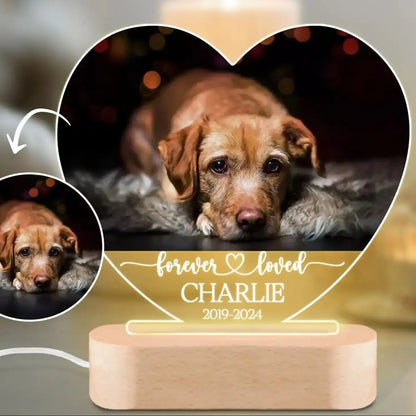 EverGlow Paw | Personalized Pet Keepsake Light